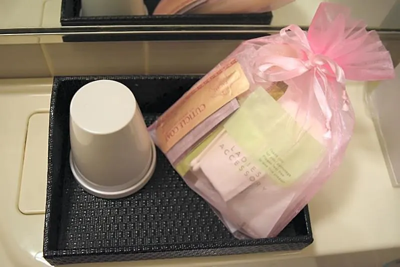 ***  Asakusa Central Hotel Токио Япония