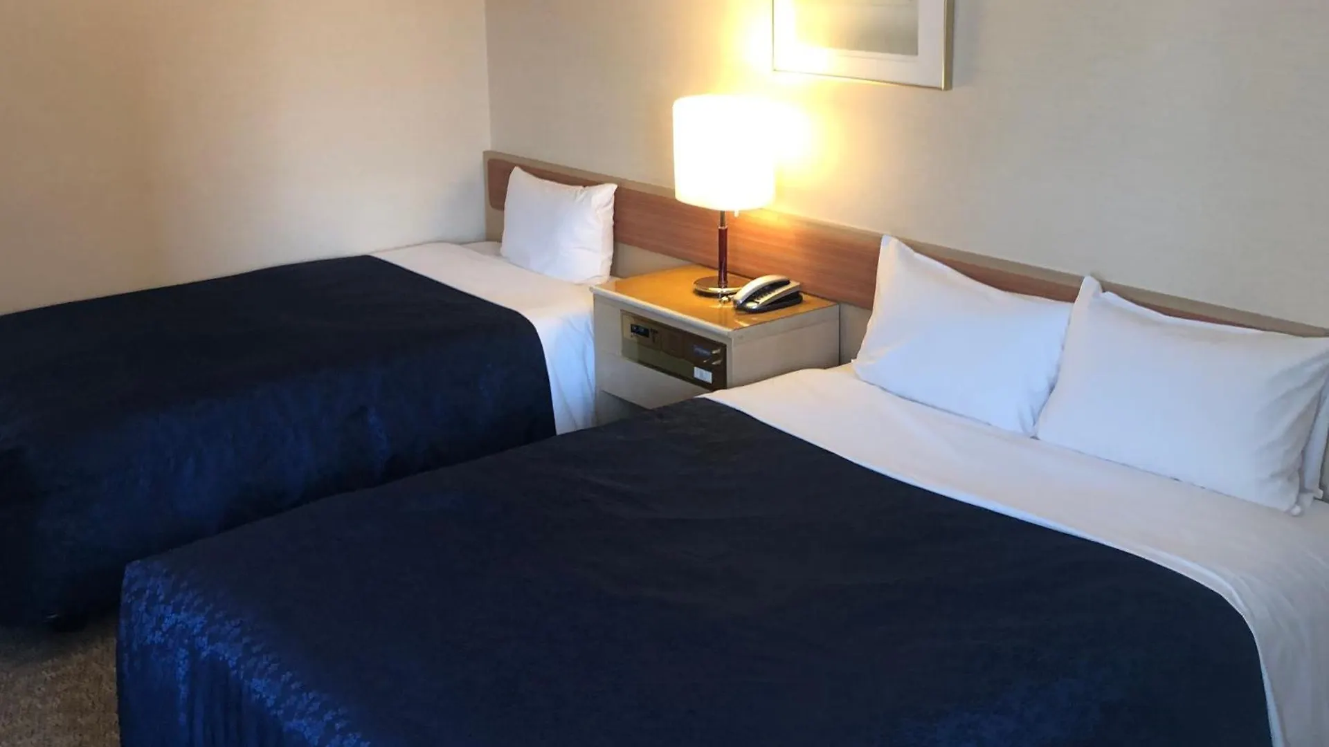 Asakusa Central Hotel Tokyo Japan